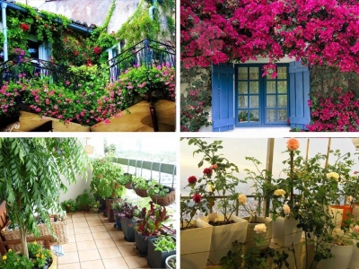 CẢI TẠO MẶT TIỀN: BIỆN PHÁP CẢN BỤI HIỆU QUẢ