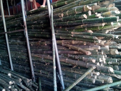 BIỆN PHÁP THI CÔNG ĐÓNG CỌC TRE CHUẨN KỸ THUẬT